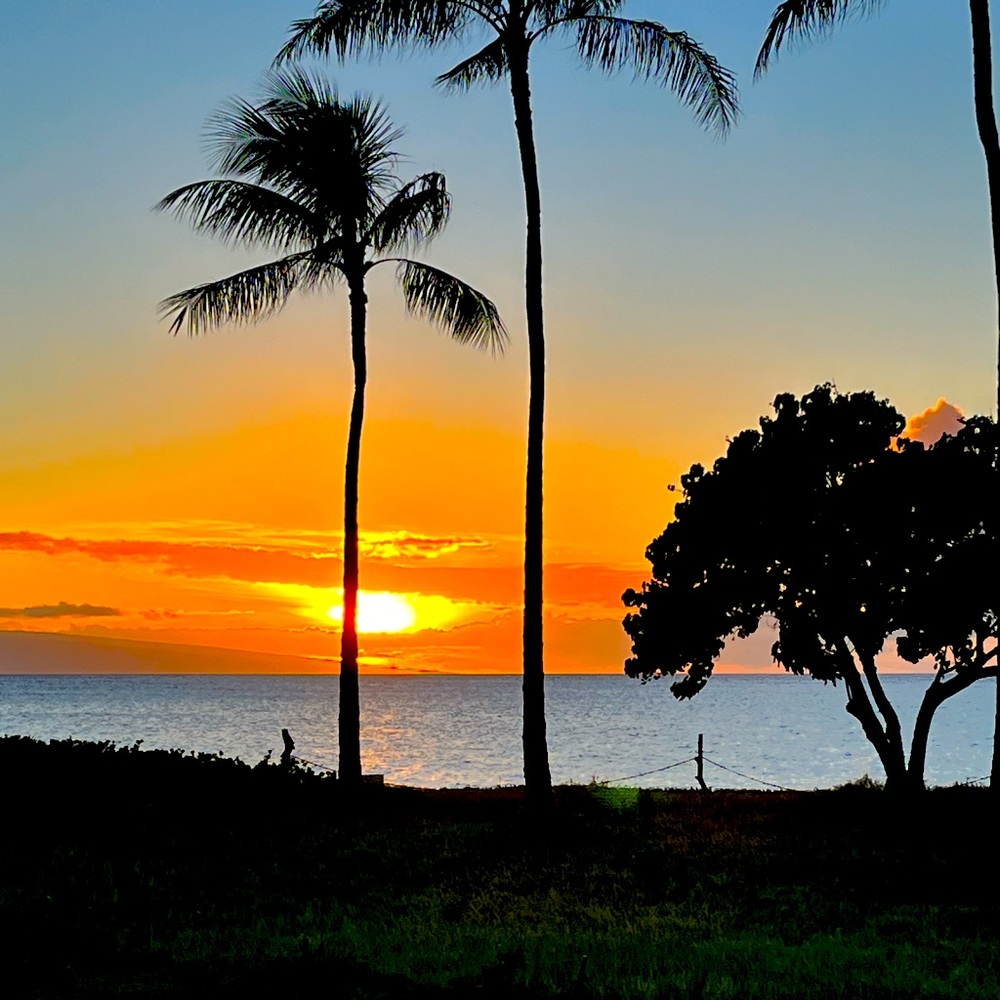 Meet your Posher, Janelle